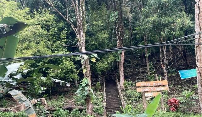 Universitas Pattimura Nilai Program Sound of Green sebagai Terobosan Strategis Pendidikan Berbasis Lingkungan di Maluku