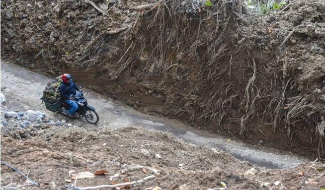 Hari Tanah Sedunia 2025: Tanah yang Sakit, Bencana yang Meningkat
