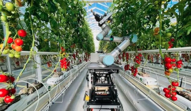 China Luncurkan Model AI Pertama untuk Lindungi Lahan Pertanian Berstandar Tinggi