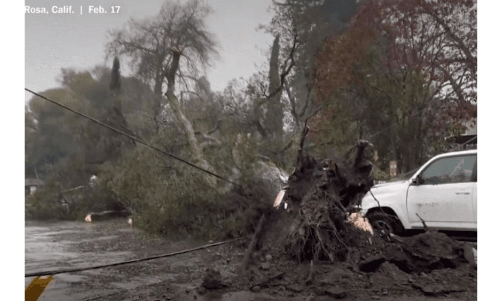 Badai Dahsyat Terjang California Saat Natal, Tiga Orang Tewas dan Ribuan Rumah Padam Listrik