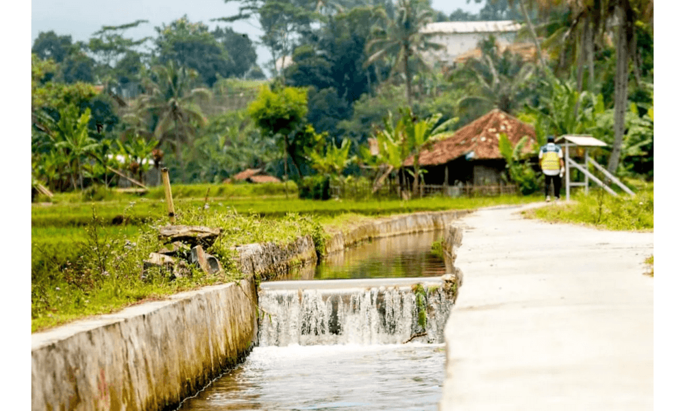 Mentan Tegaskan Rehabilitasi Irigasi Jadi Fondasi Swasembada Beras Nasional