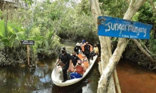 IPB: Bangka Belitung Berpotensi Jadi Penghasil Karbon Biru, Dorong Ekonomi Lewat Kredit Karbon
