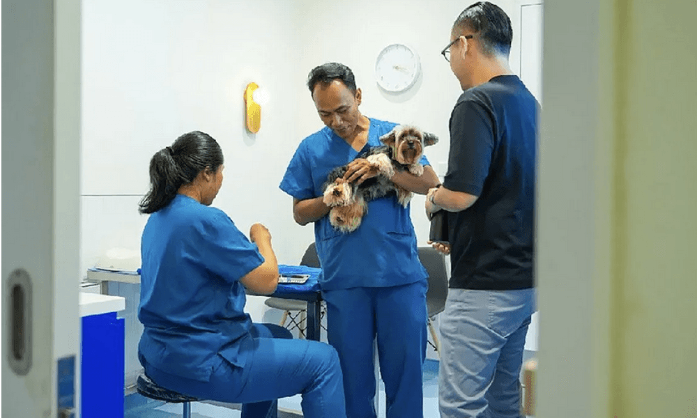 Merawat Hewan Jadi Gaya Hidup: Budaya Baru Kaum Urban di Rumah Sakit Hewan