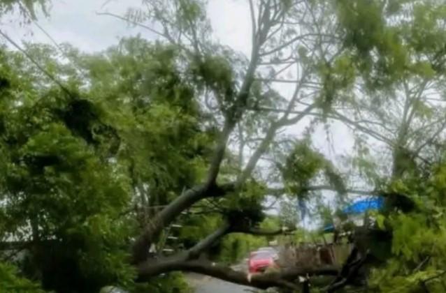 Pemkab Lombok Tengah Siapkan Dana BTT Rp2,5 Miliar untuk Penanganan Bencana 2026