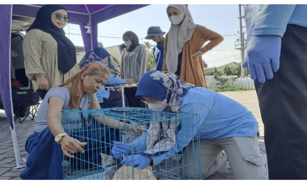 Sepanjang 2025, Tercatat 493 Kasus Gigitan Hewan Penular Rabies di Lampung Selatan
