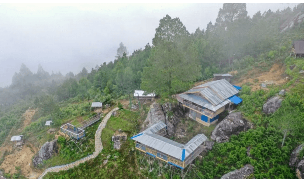 Festival “A Taste of China” Hadirkan Kuliner dan Budaya Tiongkok di Kebun Binatang Budapest
