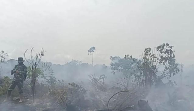 Aceh Barat Tetapkan Darurat Karhutla 14 Hari, Luas Kebakaran Capai 57,7 Hektare