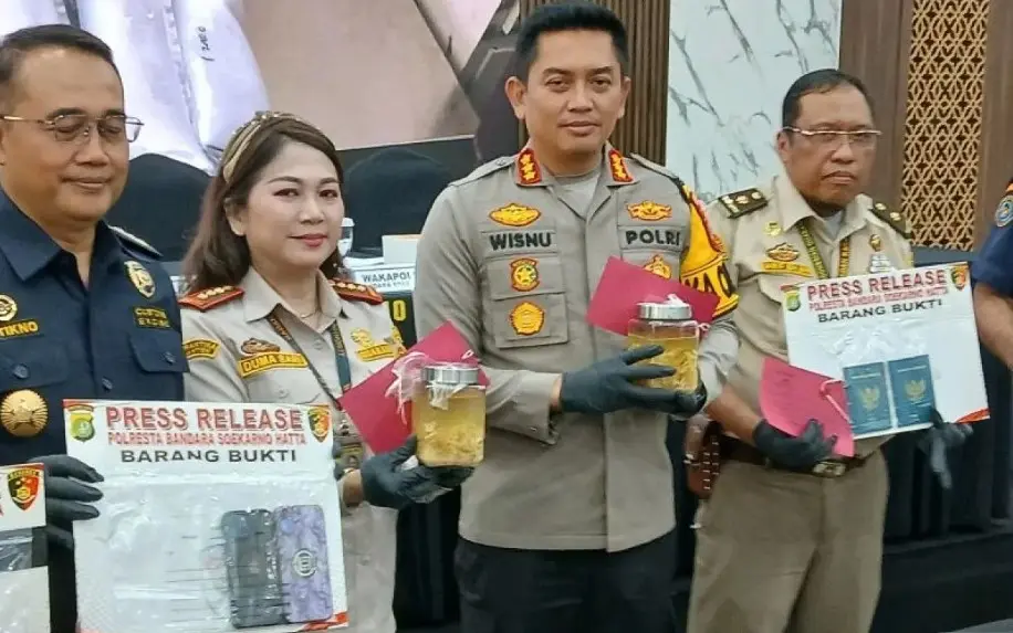 Polisi Gagalkan Penyelundupan 85.750 Benih Lobster ke Singapura, Kerugian Negara Capai Rp4,28 Miliar