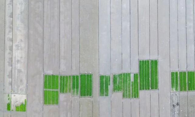 Menempatkan Pembangunan Pertanian sebagai Jalan Menuju Kesejahteraan Petani