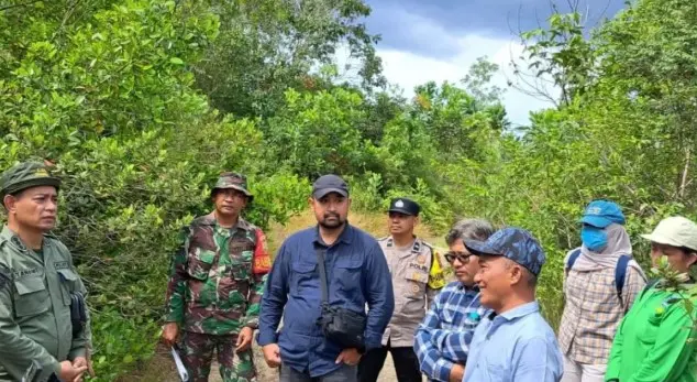 Kementerian Kehutanan Pulihkan 50 Hektare Lahan Bekas Tambang Timah di Bangka Belitung