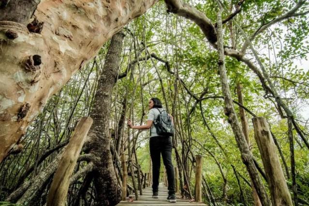 Wamenpar Ni Luh Puspa Tegaskan Transformasi Pariwisata Berkelanjutan Jadi Kebutuhan Strategis Indonesia