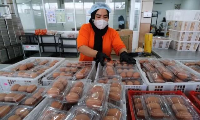 BPKN Dukung Evaluasi Program MBG Ramadhan demi Lindungi Hak Konsumen dan Jamin Keamanan Pangan