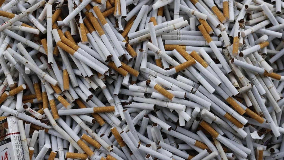 Respons Cepat Bea Cukai Malang Gagalkan Peredaran 2,4 juta Batang Rokok Ilegal di Pujon