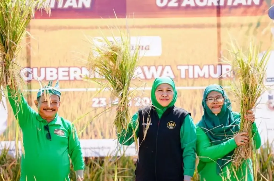 Gubernur Khofifah Instruksikan Kepala Daerah Perkuat Strategi Hadapi Kemarau 2026 Demi Jaga Produksi Pangan