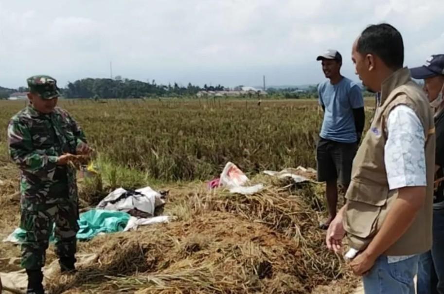 Perum Bulog Banyumas Lampaui Target Serapan Gabah dan Beras Triwulan I 2026