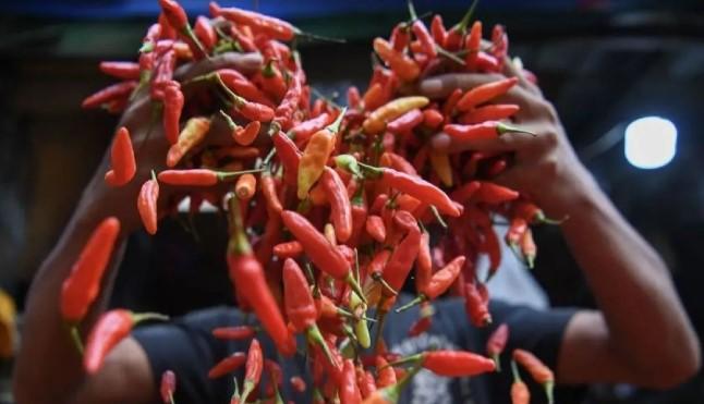Harga Cabai Rawit Tembus Rp86.150 per Kg, Daging Ayam Rp42.050 Menurut Data PIHPS