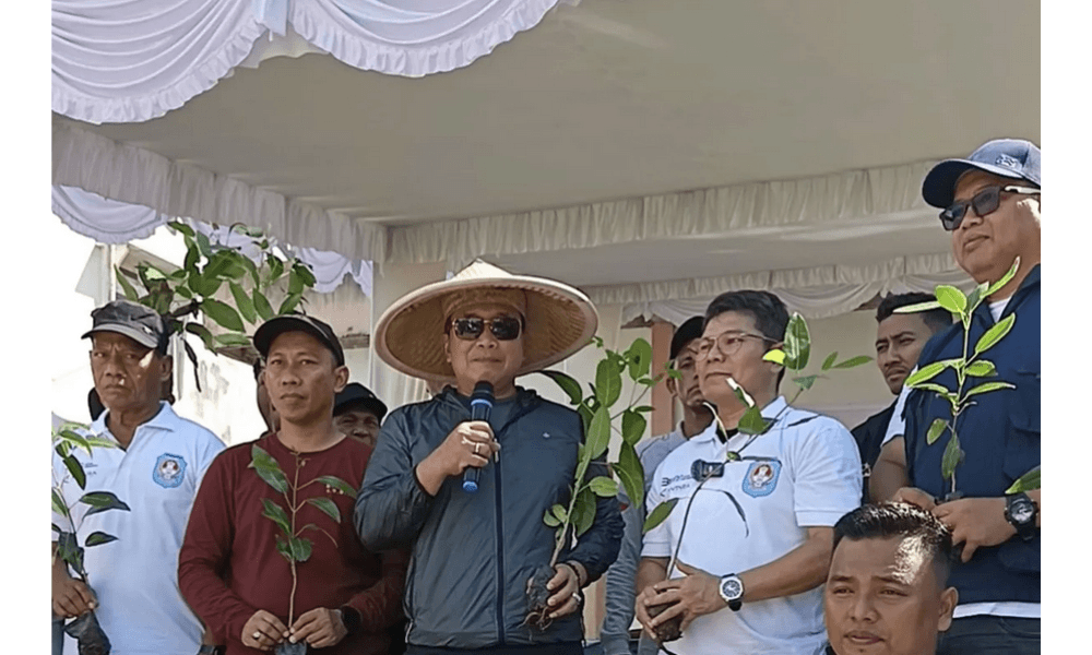 ANTARA Menanam, LKBN ANTARA Tanam 500 Bibit Pohon di Kubu Raya