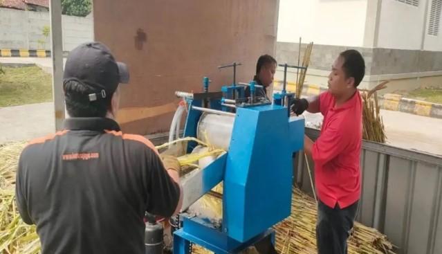 BRIN Kembangkan Teknologi Gula Semut dari Sorgum untuk Alternatif Gula dan Dukung UMKM