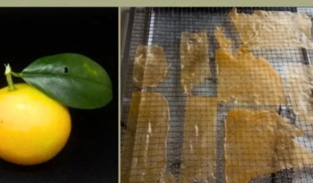 BRIN Kembangkan Inovasi Lembaran Jeruk Gamindo B, Pangan Fungsional Kaya Vitamin dan Bernilai Ekonomi