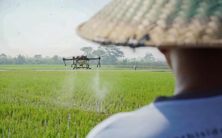 Swasembada Pangan Tercapai, Pemerintah Hadapi Konsekuensi Harga dan Stabilitas Pasar