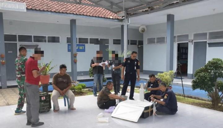 TNI AL Gagalkan Penyelundupan Ribuan Benih Lobster Ilegal di Cilacap