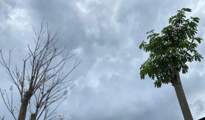 BMKG Ingatkan Warga Sultra Waspada Hujan Lebat Disertai Guntur dan Angin Kencang Hari Ini