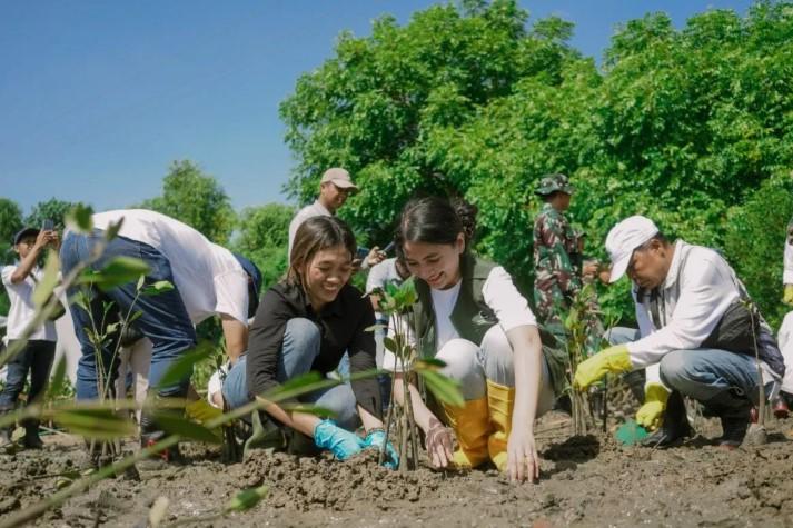 InJourney Perkuat Rehabilitasi Mangrove di KEK Mandalika dengan Penanaman 15.000 Bibit untuk Dukung Pariwisata Berkelanjutan
