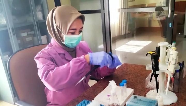 Balai Karantina NTB Perketat Pengawasan Ternak dengan Uji PCR di Pelabuhan Badas