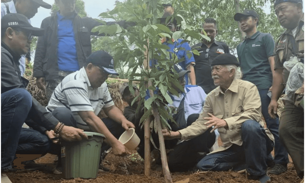 KLH dan Buruh Tanam 12 Ribu Pohon di Hulu Bandung untuk Cegah Banjir