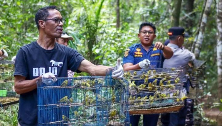 BKSDA NTT Lepasliarkan 1.000 Burung Hasil Gagalan Penyelundupan di Labuan Bajo