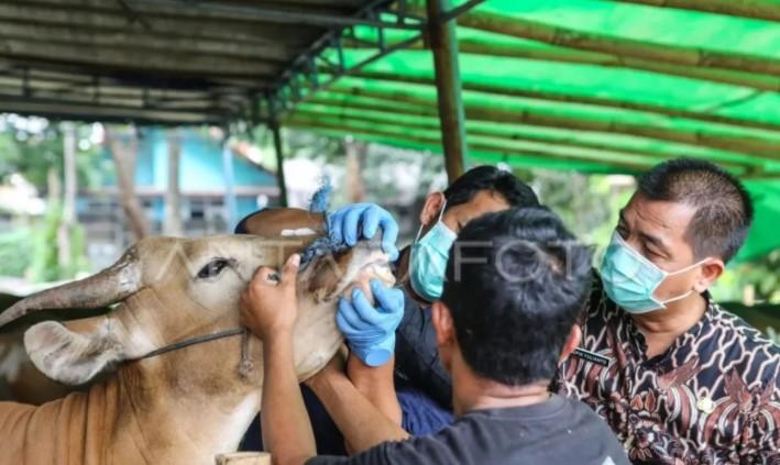 Pemkot Jaktim Tekankan Pentingnya Pelatihan Manajemen Kurban Jelang Idul Adha