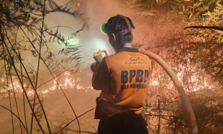 BNPB Sebut Penyebab Karhutla di Nunukan Kaltara Masih Diselidiki