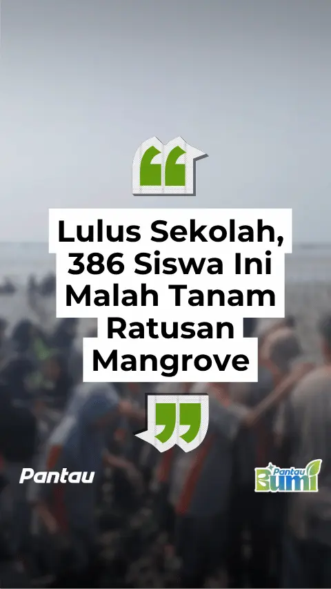 LULUS SEKOLAH 386 SISWA INI MALAH TANAM RATUSAN MANGROVE