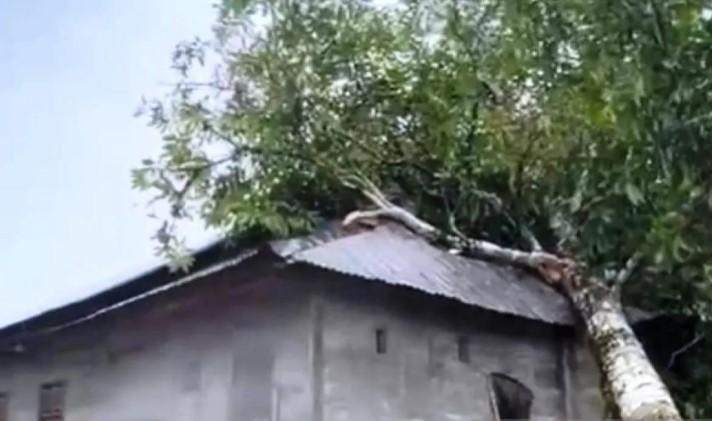 Angin Kencang Terjang Pedalaman Aceh Barat, Rumah Petani Tertimpa Pohon