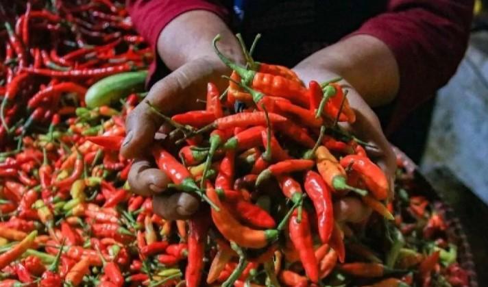 Harga Cabai Rawit Tembus Rp73.900 per Kg, Telur Ayam Rp30.850 Menurut PIHPS