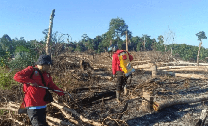 Kebakaran Hutan di Muara Enim Terdeteksi dari Udara, BPBD dan Tim Gabungan Berhasil Padamkan Api Seluas Satu Hektare