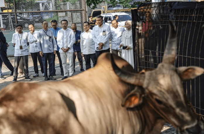 Pertamina Patra Niaga Membagikan 2.031 Hewan Kurban di Seluruh Indonesia pada Idul Adha 1447 H