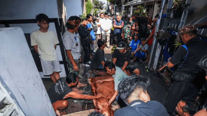 DKPP Kota Bandung Periksa 2.313 Hewan Kurban di 288 Titik, Temukan Organ Tidak Layak Konsumsi