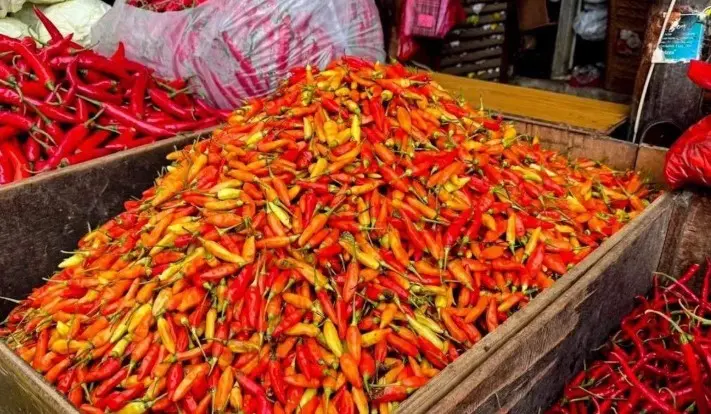 Harga Cabai Rawit dan Telur Ayam Stabil di Awal Juni, PIHPS Catat Komoditas Pangan Strategis