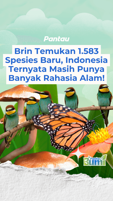 BRIN TEMUKAN 1.583 SPESIES BARU, INDONESIA TERNYATA MASIH PUNYA BANYAK RAHASIA ALAM!