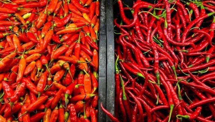 Harga Cabai Rawit Tembus Rp84.400 per Kg, Telur Ayam Ras Rp31.350 per Kg Menurut PIHPS