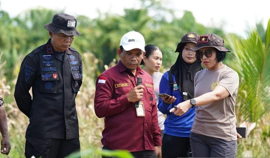 BRMP Papua Barat Kembangkan Penangkaran Benih Jagung di Manokwari, Target Hasilkan 6 Ton untuk 200 Hektare Lahan