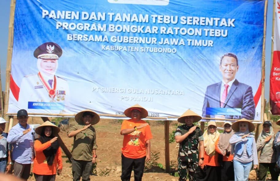 Situbondo Lampaui Target Perluasan Lahan Tebu, Capai 598 Hektare dan Genjot Swasembada Gula Nasional