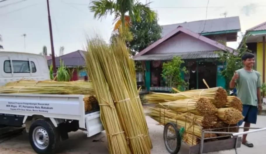 KTH Sinar Nilam Berhasil Ekspor Lidi Nipah ke India, Raih Nilai Perdagangan Rp426,5 Juta dalam Dua Tahun