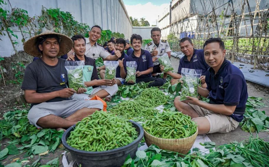 Panen Edamame Warga Binaan Lapas Lombok Barat Laris, 400 Kilogram Habis Terjual dalam Sehari