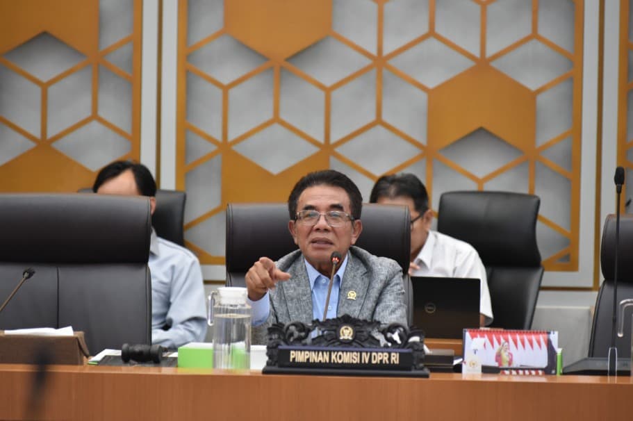 Panggah: Persoalan Tailing Freeport di Mimika Tak Boleh Berlarut