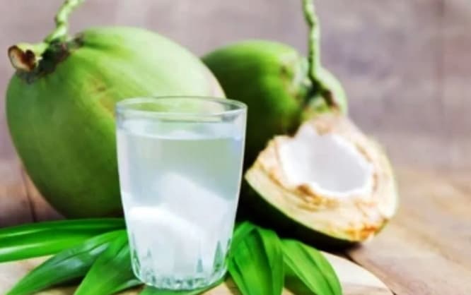 Air Kelapa Disebut Bantu Rehidrasi, Ini Waktu Terbaik untuk Mengonsumsinya