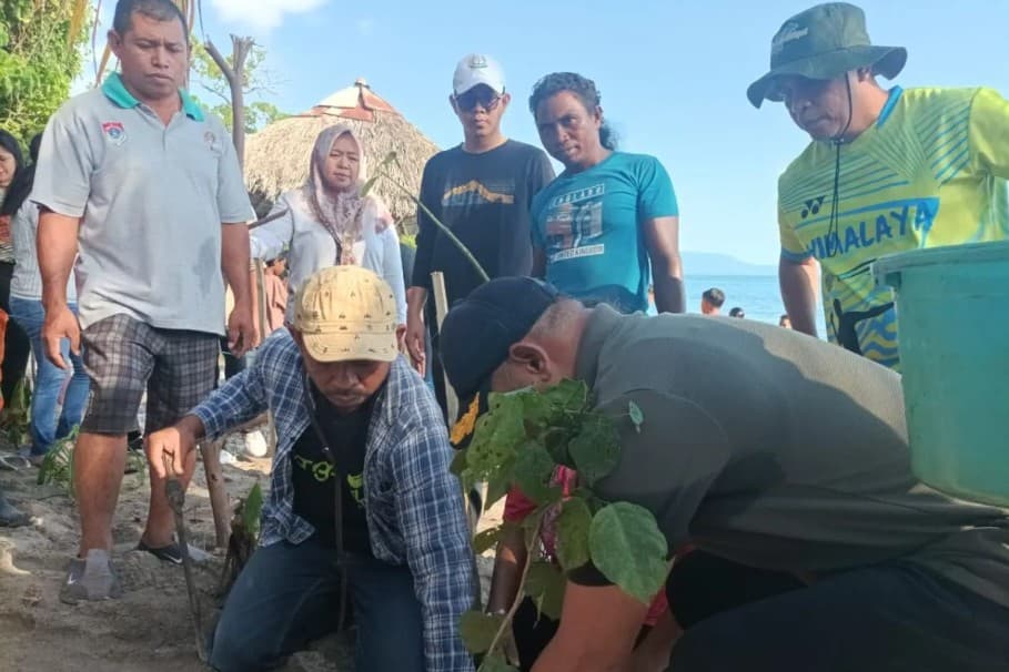 Malapari Berpotensi Jadi Sumber Biodiesel dan SAF, BRIN Kembangkan Budidaya untuk Dukung Industri Bioenergi