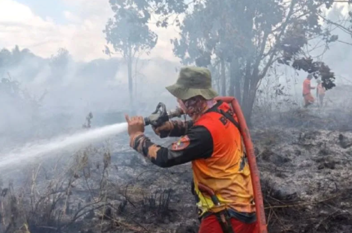 BPBD Kotawaringin Barat Tangani Karhutla Seluas 113,51 Hektare hingga Pertengahan Juli 2026