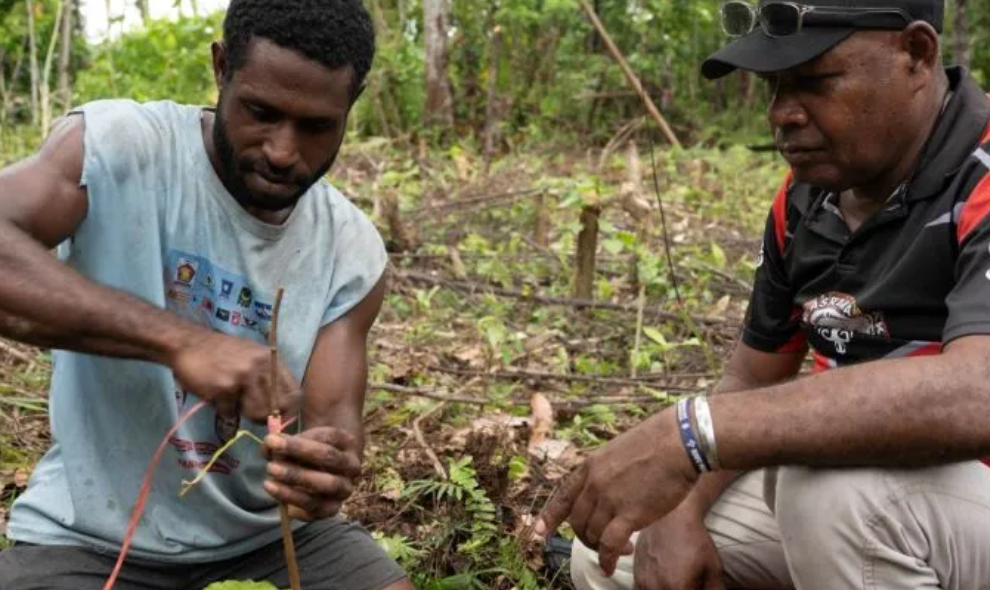 Pelatihan Kakao di Raja Ampat Tingkatkan Kapasitas Petani dan Perkuat Kelembagaan Koperasi